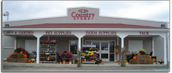 Carleton Co operative Ltd